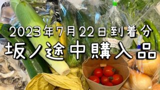 坂ノ途中旬のお野菜セット20230722到着分